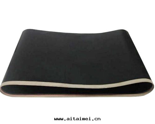 特(tè)氟龍带(dài)导条(tiáo)輸送带(dài)